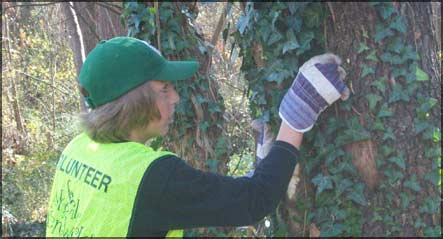 Rainbow's Middle School Students Clean Up Their Adopted Spot