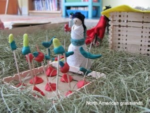 Third grade biomes_grassland