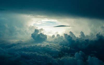 Do you remember how to fly?