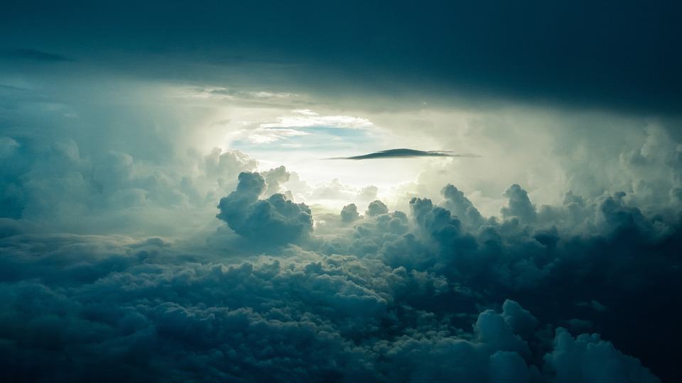 Do you remember how to fly?