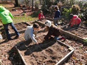 Gardening