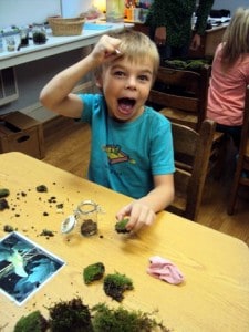 science investigations