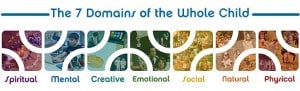 7 domains
