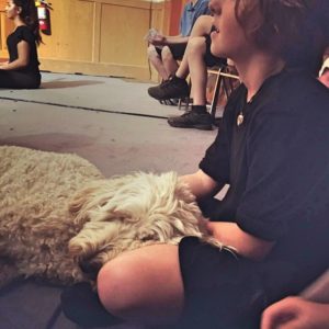 calm dog