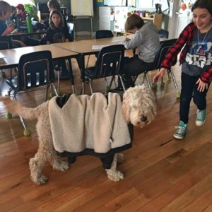 wooly costume