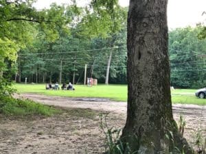 collaboration and renewal