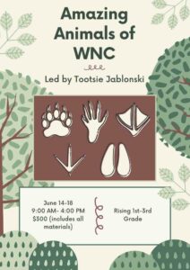 amazing animals summer camp