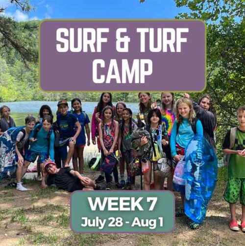 surf n turf week 7