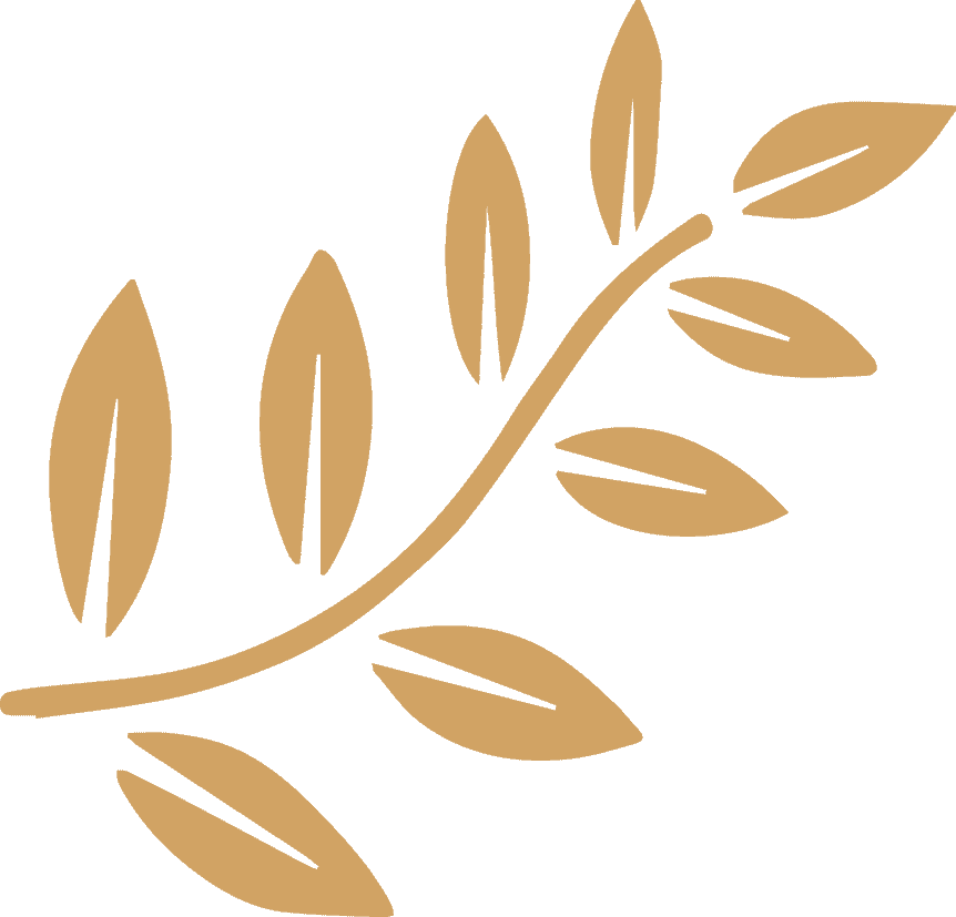 natural domain leaf icon
