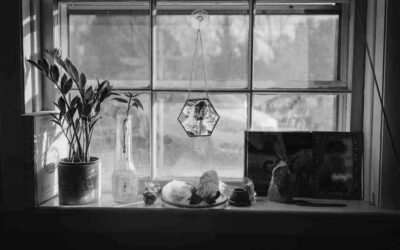 Kaleidoscope February 2022