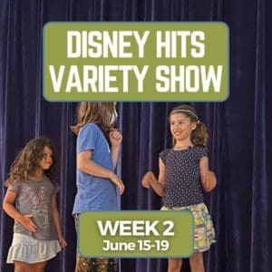 disney hits_variety show
