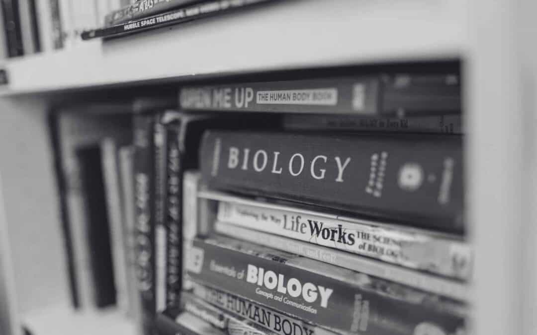 Executive Functioning Skills