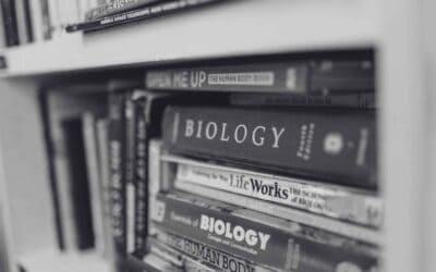 Executive Functioning Skills