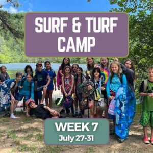 surf n turf week 7